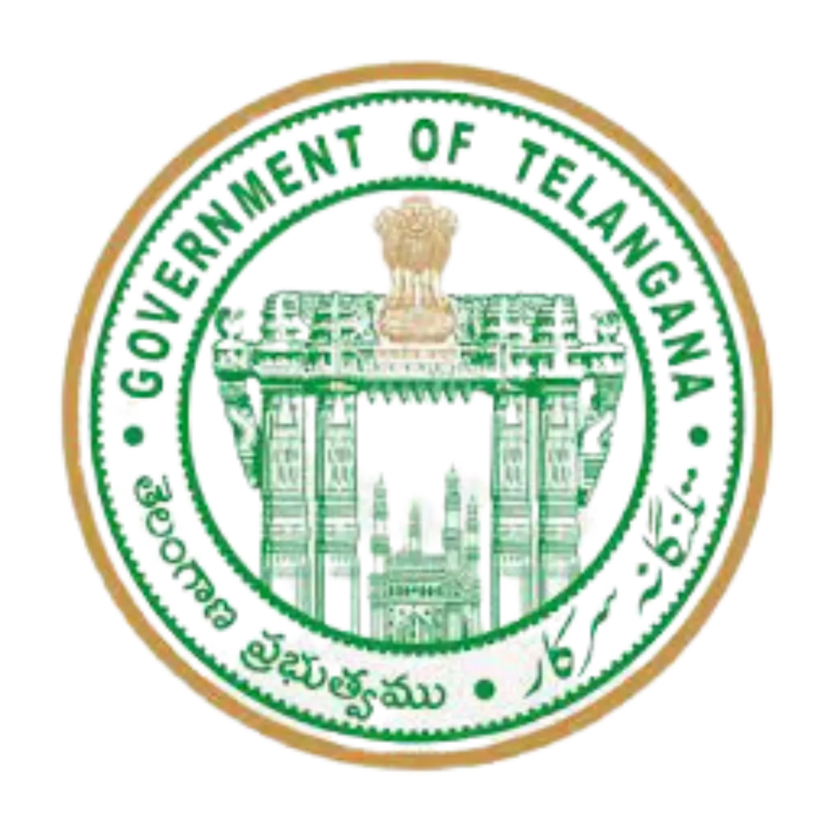 DTE Telangana Logo