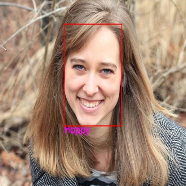 Face Emotion Recognition using CNN OpenCV and Python