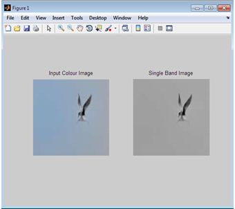Image Forgery Detection using Matlab 1