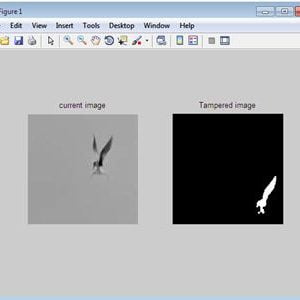 Image Forgery Detection using Matlab 5