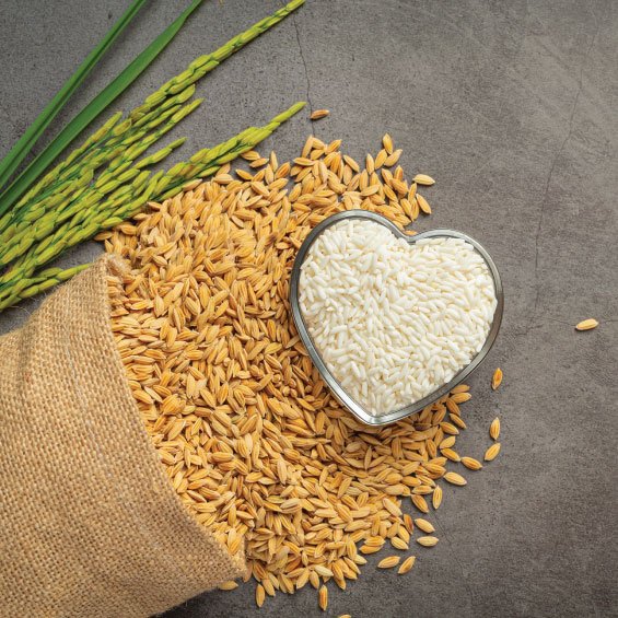 Rice Grain Quality Detection