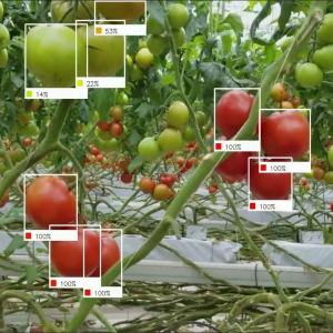 Fruit Detection System Using Deep learning