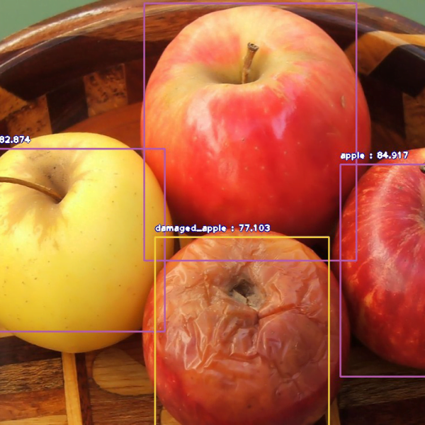 Fruit Disease Detection using Image Procesing