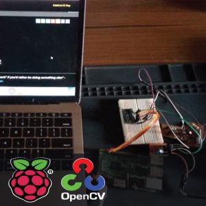 Low Power Monitoring and Control System using Raspberry Pi 1