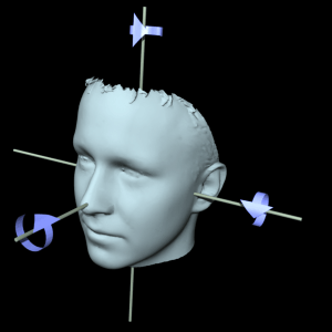 Matlab Code for Head Pose Recognition
