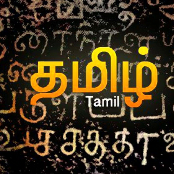 Tamil character recognition using Deep learning