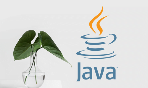 Java Programming Basic 